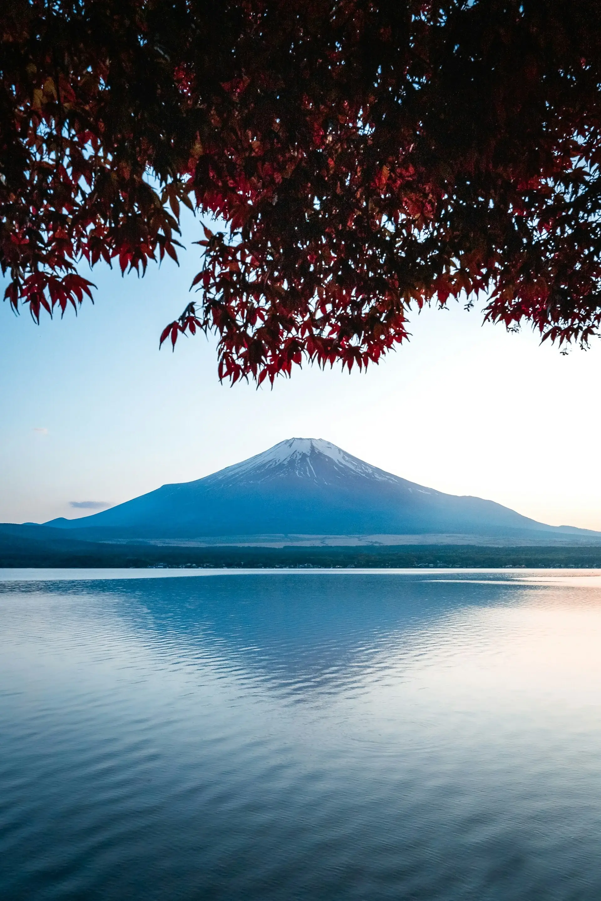 fuji 1