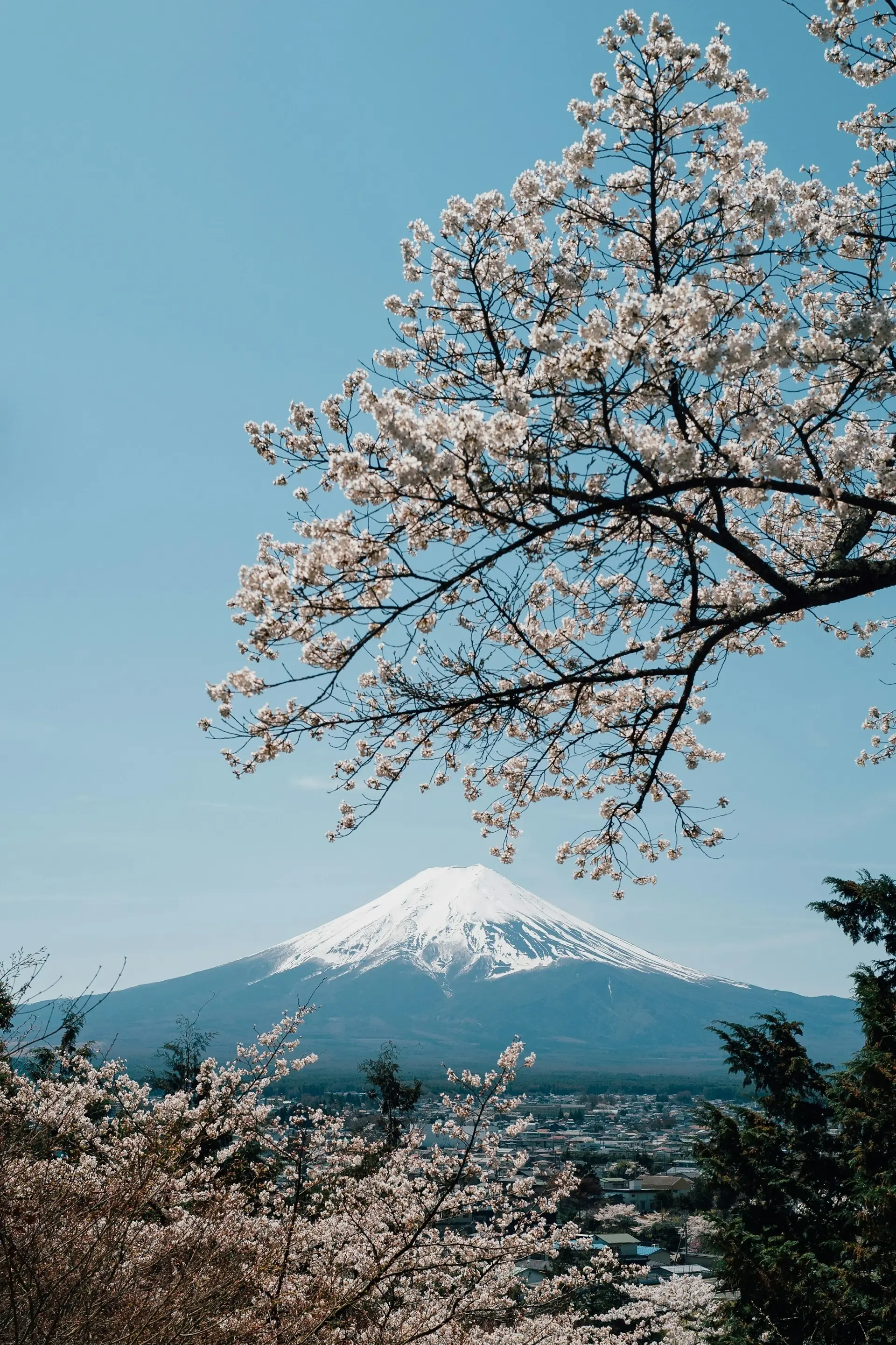 fuji 2