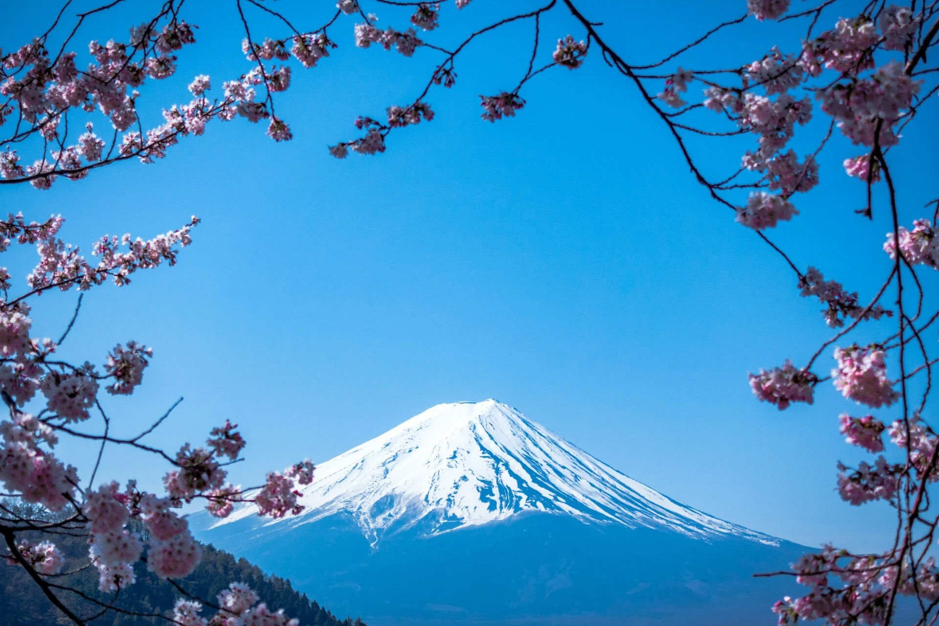 fuji 3