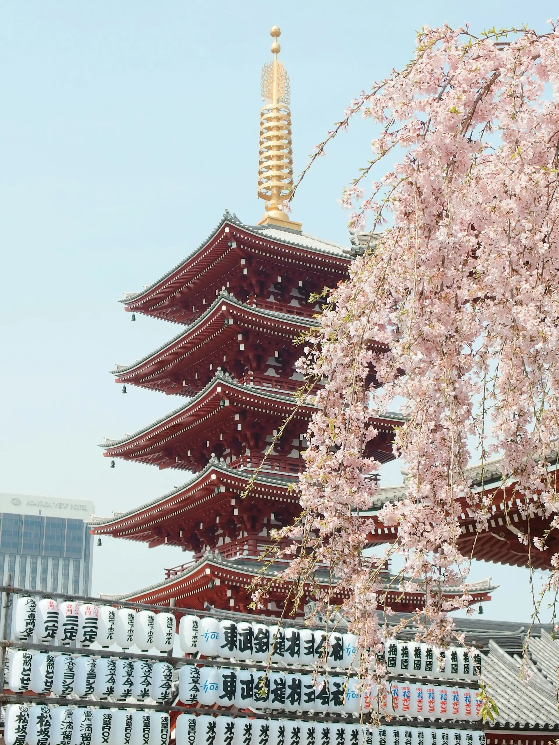 japan 1