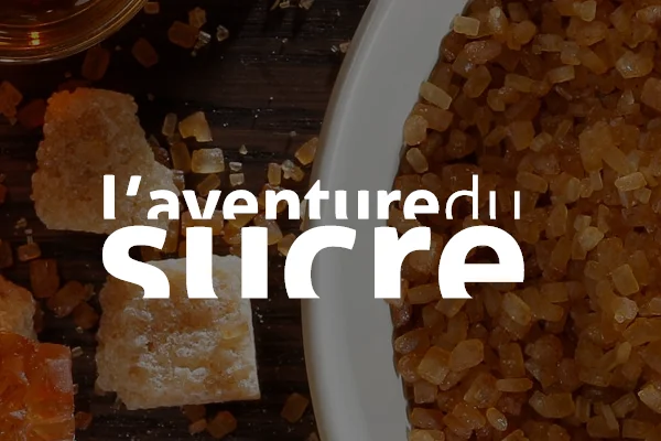 Website preview of L'Aventure du Sucre