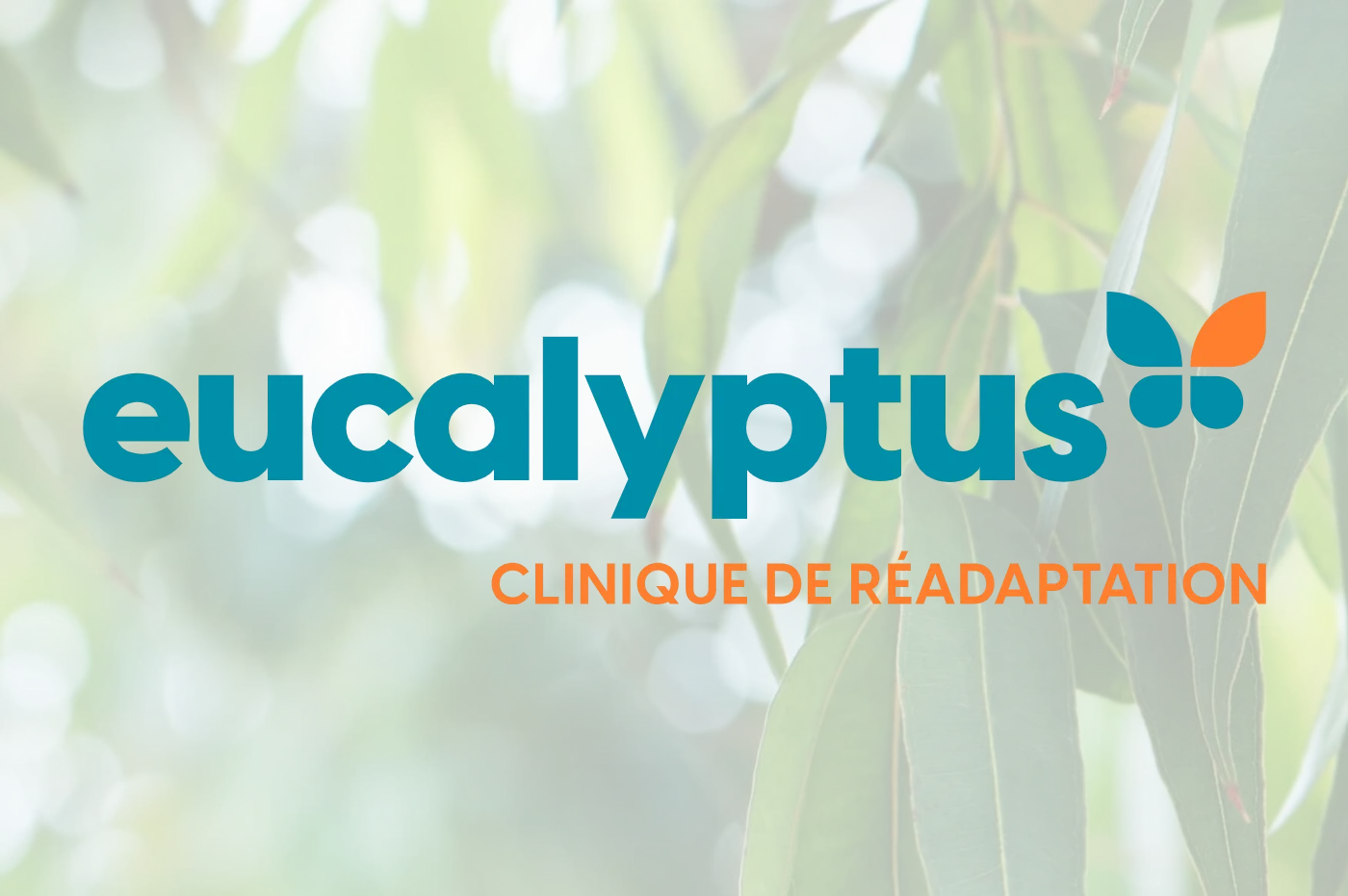Website preview of Clinique Euycalyptus