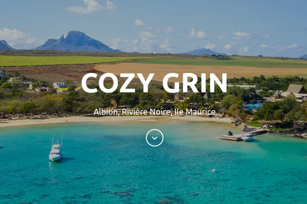 Website preview of Cozy Grin